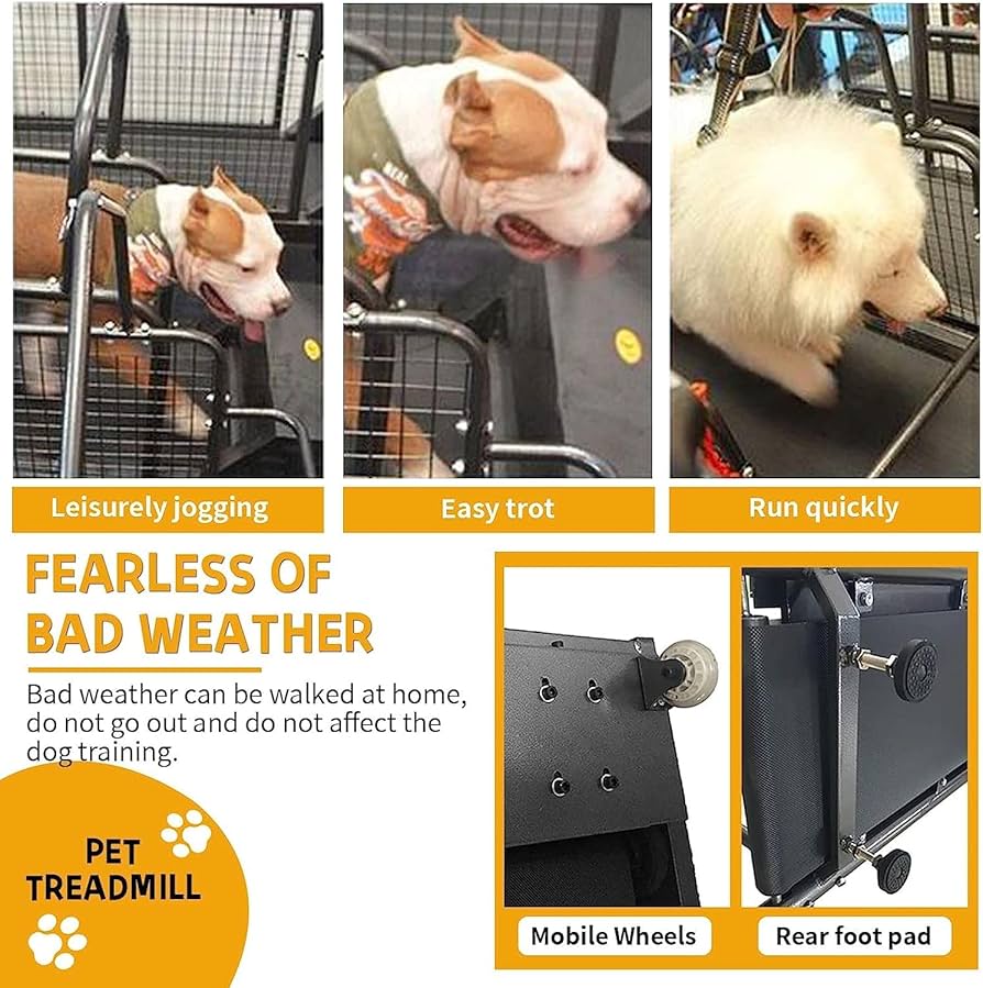 Amazon.co.jp: ペット用トレッドミル 犬用トレッドミル 犬用