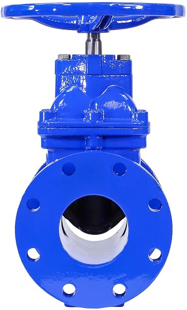 RKT4 4 Cast Iron Gate Valve with Rubber Wedge