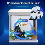 Ver la foto 4
