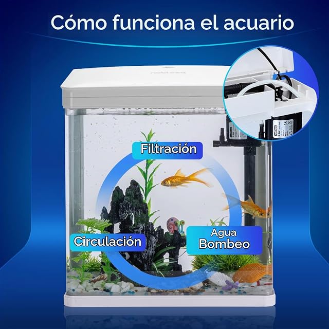 Foto 4 de 7 de Nobleza - Acuario de Cristal 14L con Cubierta + Luces LED, Filtro Ecológico, 23x16x27.5 cm Visión Clara…
