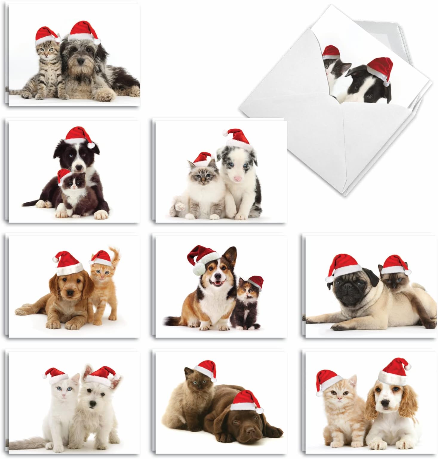 The Best Card Company Variety Pack Of 10 Christmas Greeting