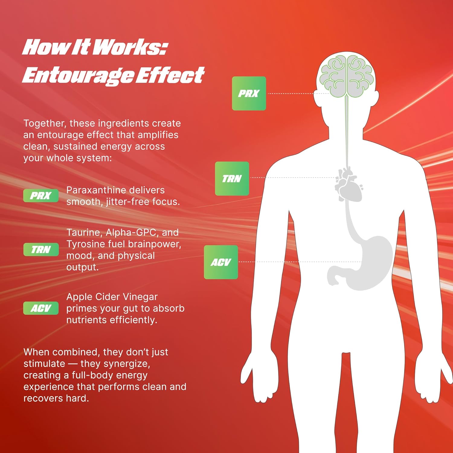 Life Cider X Grapefruit Nectarine Apple Cider Vinegar Healthy Energy Drink, 12 Pack, Organic Energy Drink Made with ACV and Paraxanthine, Natural Flavors, No Jitters, No Crash