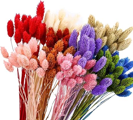 Amazon 天然ドライフラワーブーケ カラーパンパスワイルドフラワーエターナルフラワー人工花ホームウェディング60pcs オレンジ色 造花 オンライン通販