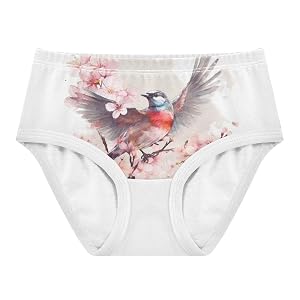 ALAZA Toddler Girls Cotton Hipster Underwear Soft Bird Sparrow 5 2 Pack 2T