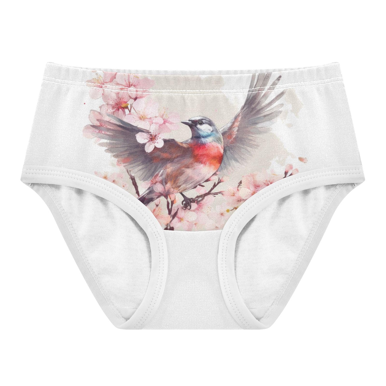 ALAZA Toddler Girls Cotton Hipster Underwear Soft Bird Sparrow 5 2 Pack 2T
