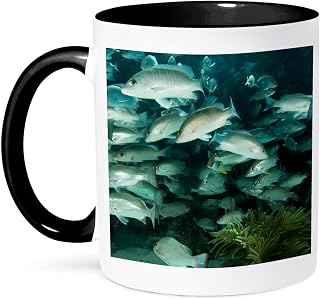 3dRose Mahogany Snapper fish, Hol Chan, Belize - SA02 SWS0054 - Stuart Westmorland 15oz Two-Tone Black Mug