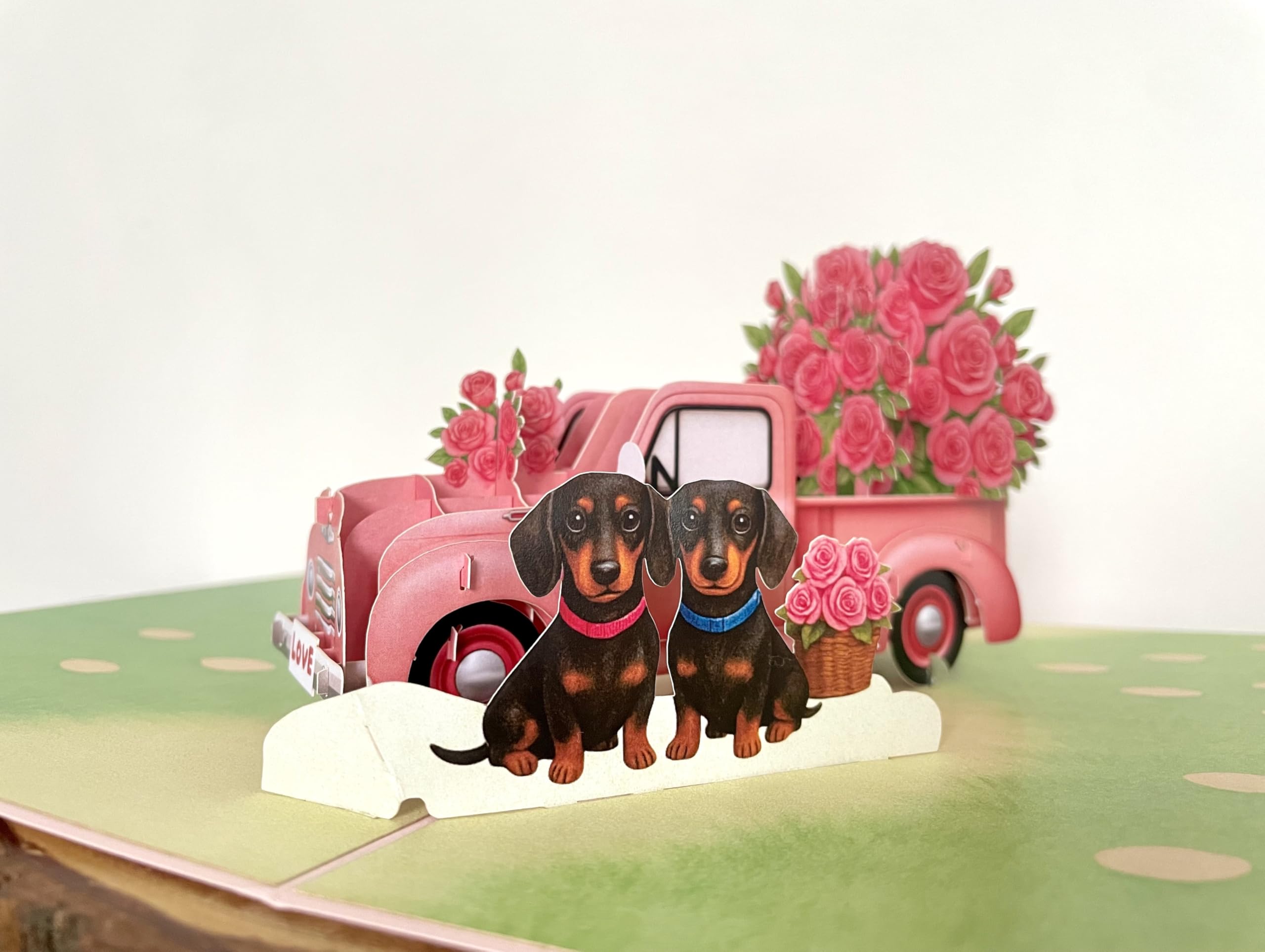 Dachshund Couple Love Pop Up 3D Card. Romantic anniversary, valentines greeting card for Her,Girlfriend,Wife,Him, Boyfriend,Husband. 20cmx15cm