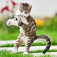 Vista 9 de 7.8 inch Simulation Fish Plush Toy, Soft Fish Decorate Grass Carp Plush Pillow Stuffed Toy for Home Decoration Kids Pillow