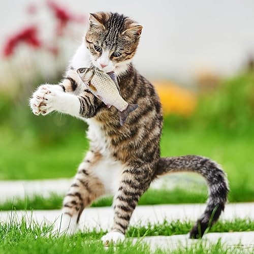 Miniatura 9 de 7.8 inch Simulation Fish Plush Toy, Soft Fish Decorate Grass Carp Plush Pillow Stuffed Toy for Home Decoration Kids Pillow