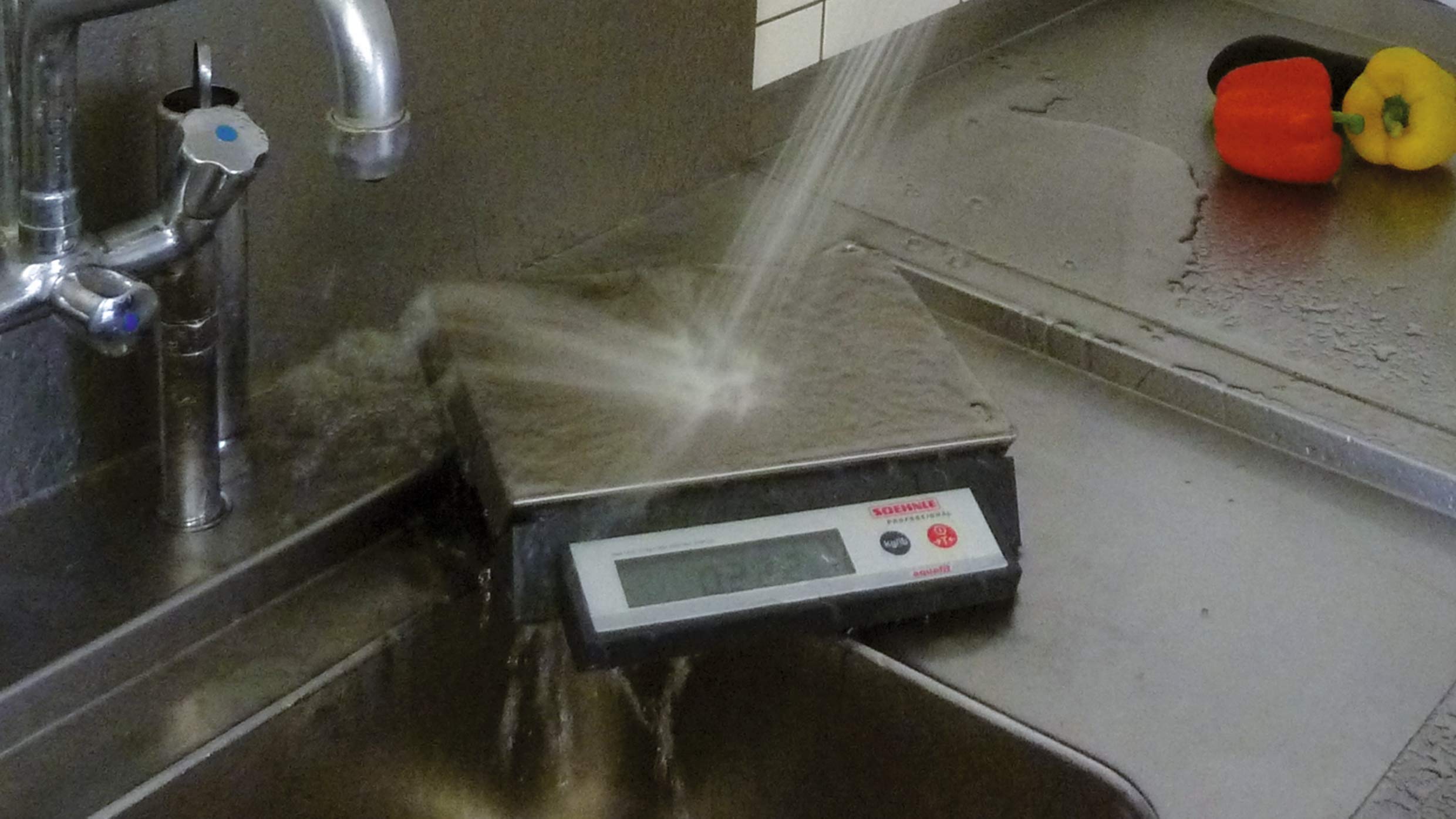 SOEHNLE PROFESSIONAL Báscula Compacta 9115 Max.6kg -1g