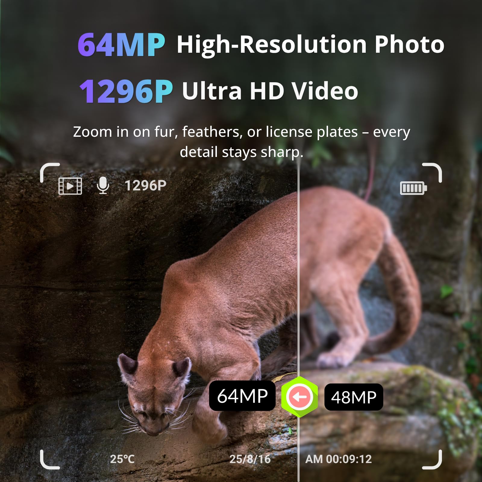 BlazeVideo Wildkamera WLAN mit App，Wildtierkamera Nachtsichtkamera Fotofalle 64MP 1296P Verbinden druch APP Bluetooth Antenne mit Nachtsicht Bewegungsmelder