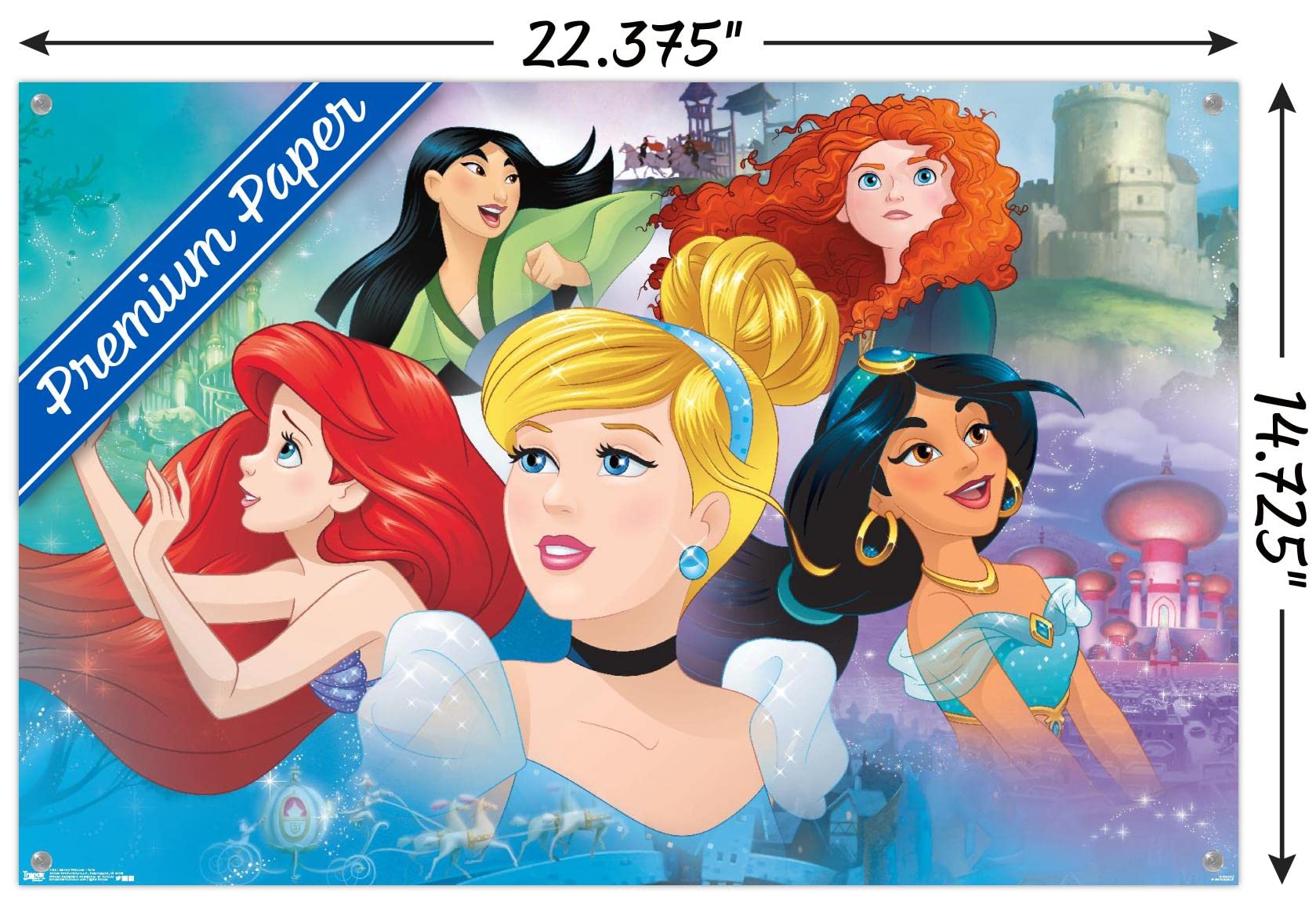 princess soft シリーズ　　　入手困難非売品ポスター princess soft シリーズ 入手困難非売品ポスター