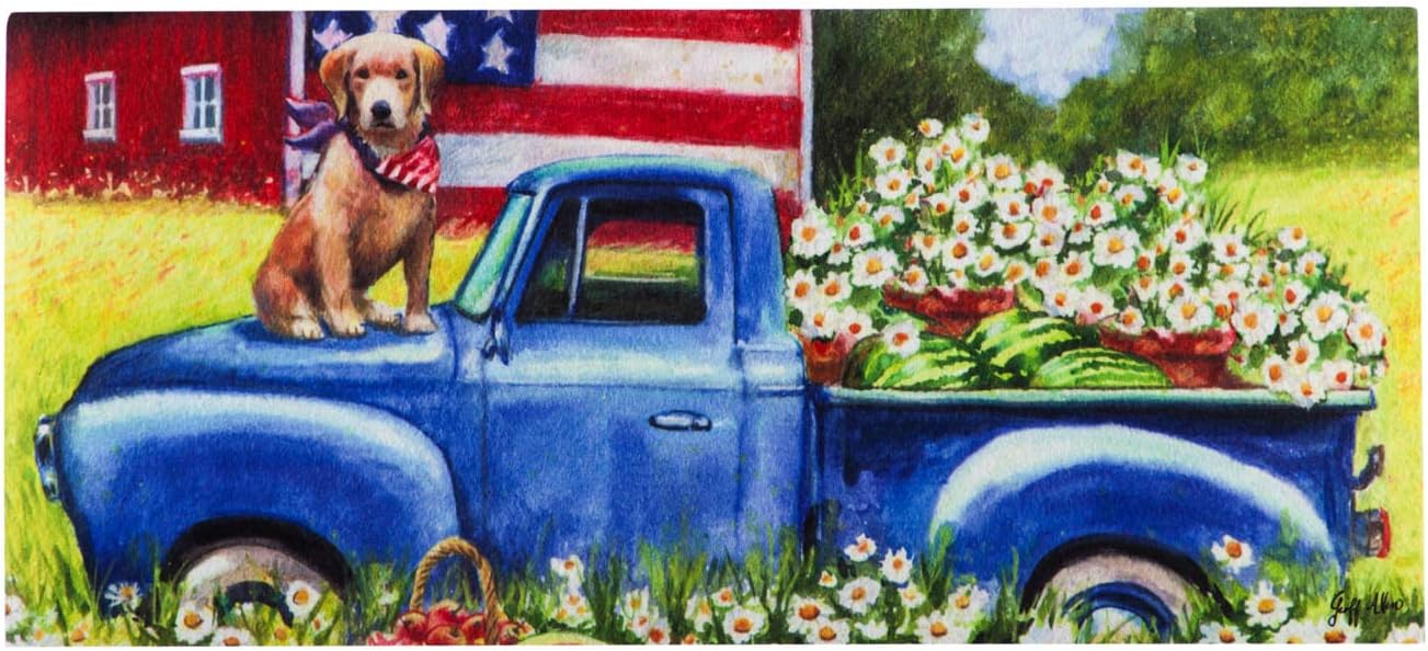 Evergreen Sassafras Patriotic Pup Interchangeable Entrance Doormat | Indoor and Outdoor | 22-inches x 10-inches | Non-slip backing | All-Season | Low Profile | Home Décor