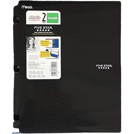 Snap-in Plastic Folder for Binders 2 Pocket - Five Star