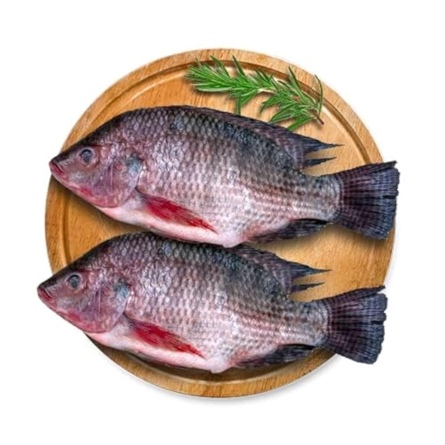 Fresh Tilapia Fish Whole Cleaned 1 kg Approx.