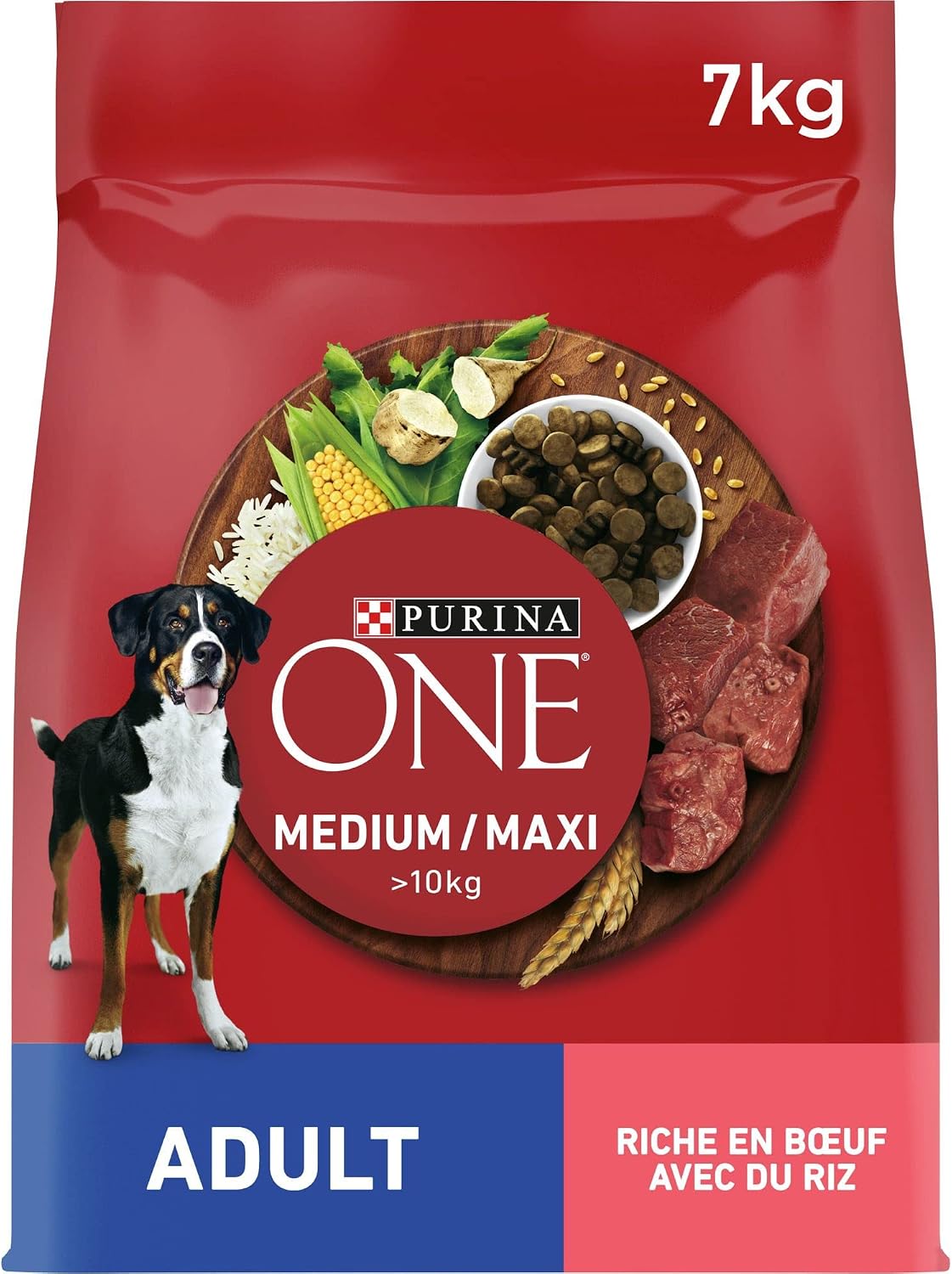 PURINA ONE | Medium & Large Adult Dog > 10kg | High Protein Dry Food | Helps Maintain Strong Muscles and Sufficient Energy | Beef | Bag | 7kg