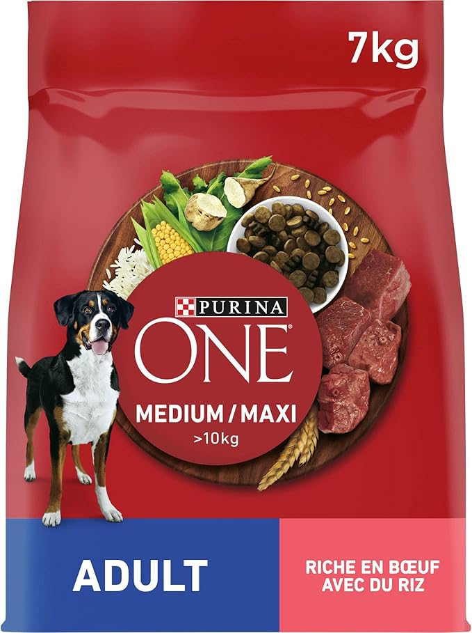 PURINA ONE | Chien Adulte de moyenne et grande taille > 10Kg | Croquettes riches en protéines | Aide à maintenir des muscles forts et un niveau suffisant d'énergie | Au Bœuf | Sac | 7 kg