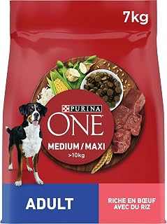 PURINA ONE | Chien Adulte de moyenne et grande taille > 10Kg | Croquettes riches en protéines | Aide à maintenir des muscles forts et un niveau suffisant d&rsquo;énergie | Au Bœuf | Sac | 7 kg | Croquettes Chien Saveur Bœuf – Riches en protéines pour chiens actifs, soutient la vitalité et le pelage – Alimentation Chien »>
</div>
<div class=