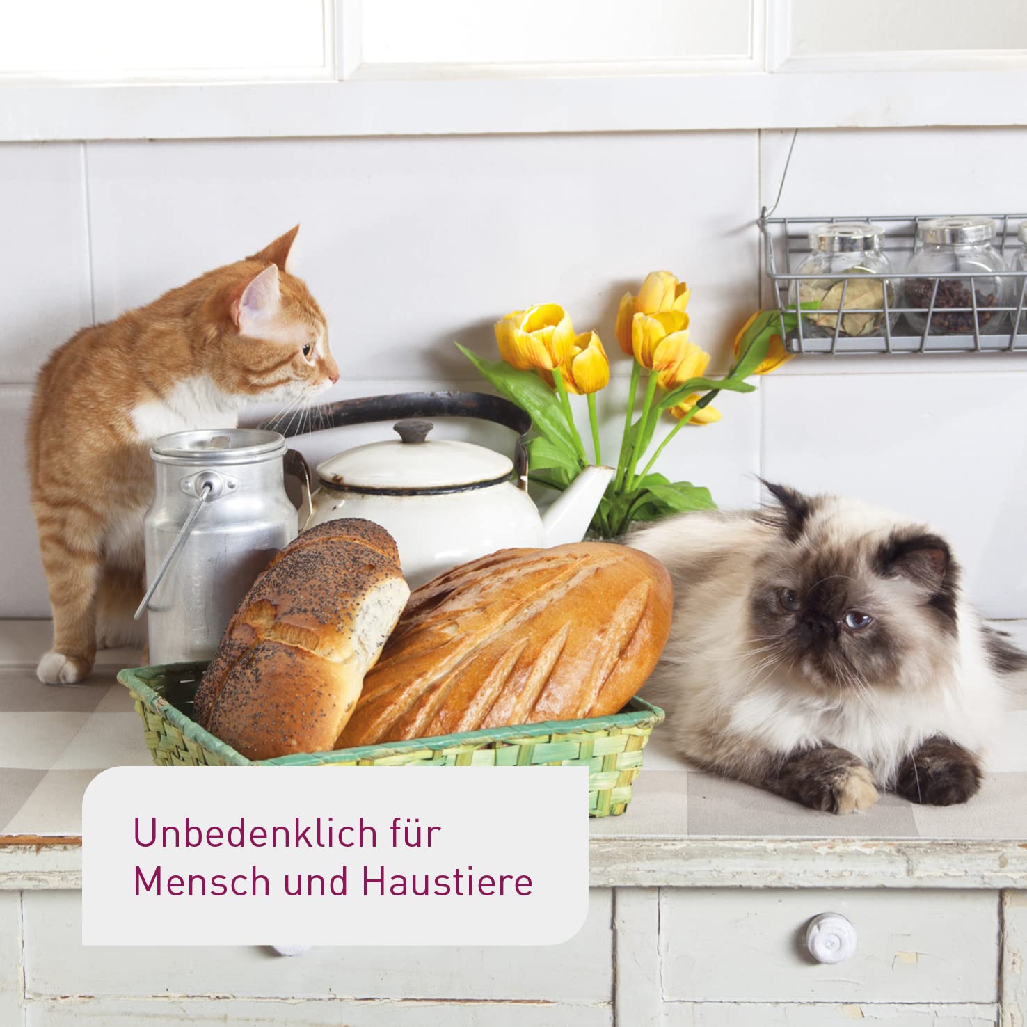 Plantura Schlupfwespen gegen Lebensmittelmotten, Komplett-Lösung mit 9 Karten (3 Karten à 3 Lieferungen) - hochwirksame & nachhaltige Bekämpfung, Alternative zu Mottenkugeln
