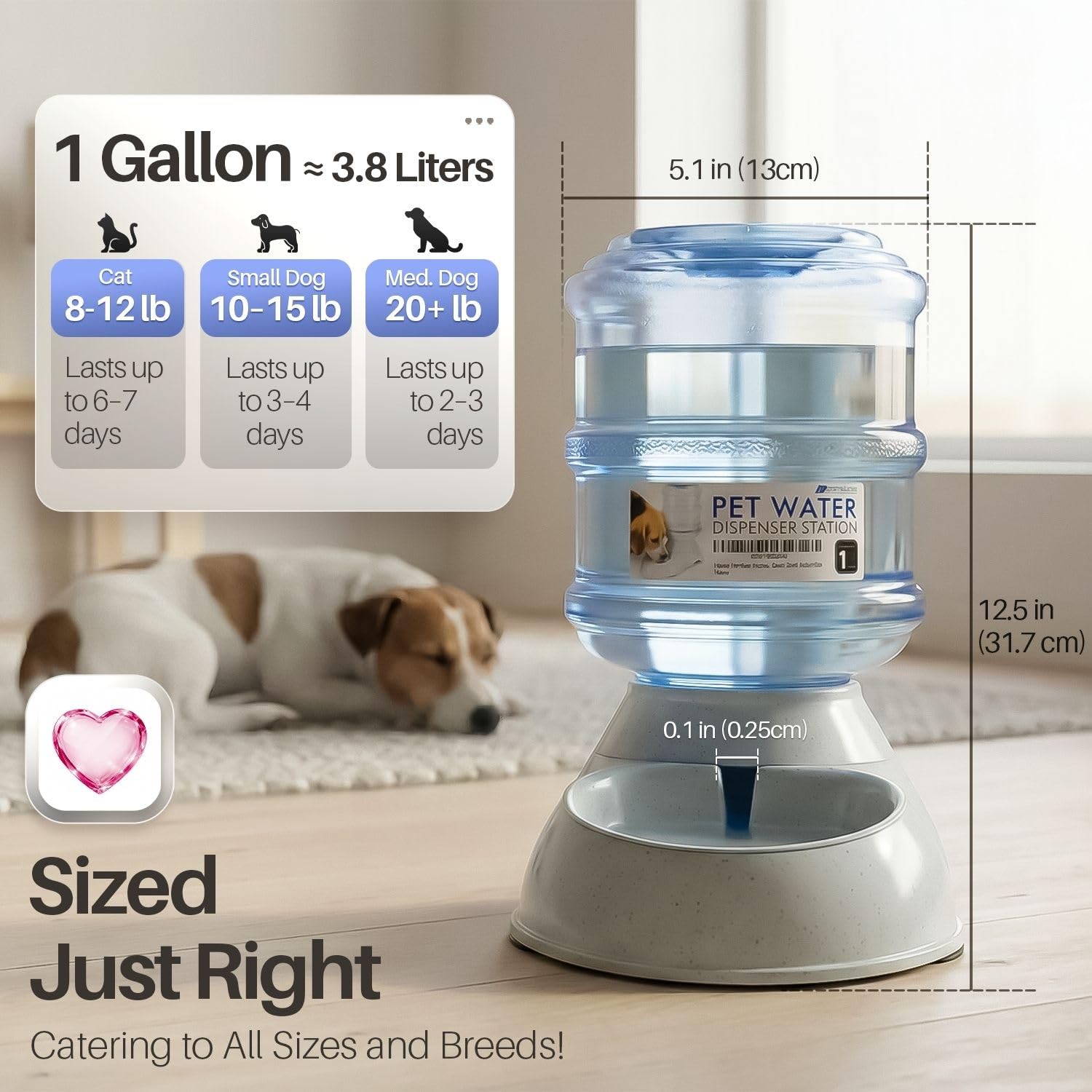Flexzion Gravity Distributeur de Nourriture pour Animaux domestiques (Petit) pour Chiens et Chats - Distributeur Automatique de Nourriture sèche - Bol de Stockage de Nourriture sèche - Fournitures