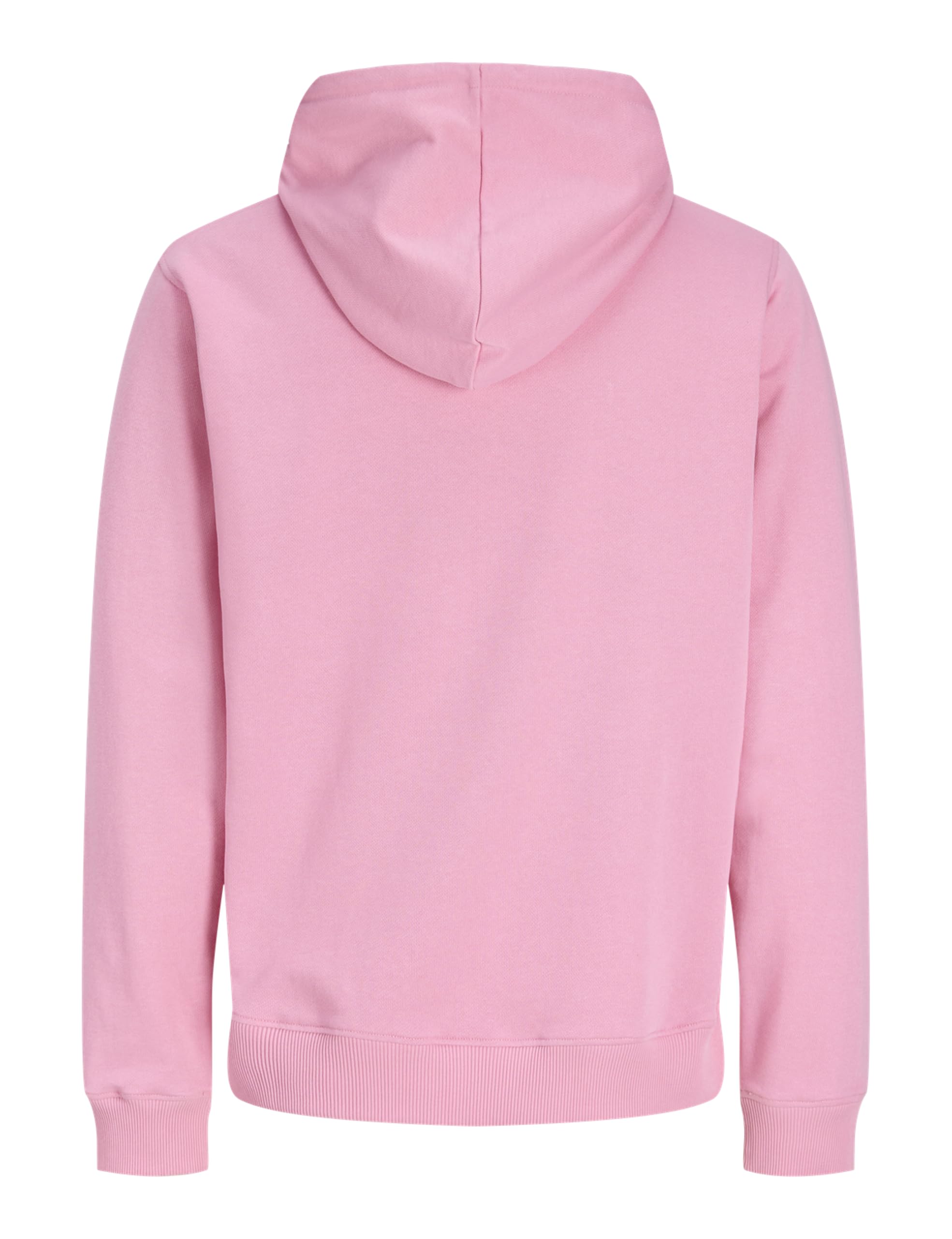JACK & JONES Herren Jjcollege Logo Sweat Hood