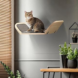 Amazon Fr Arbre Chat Mural