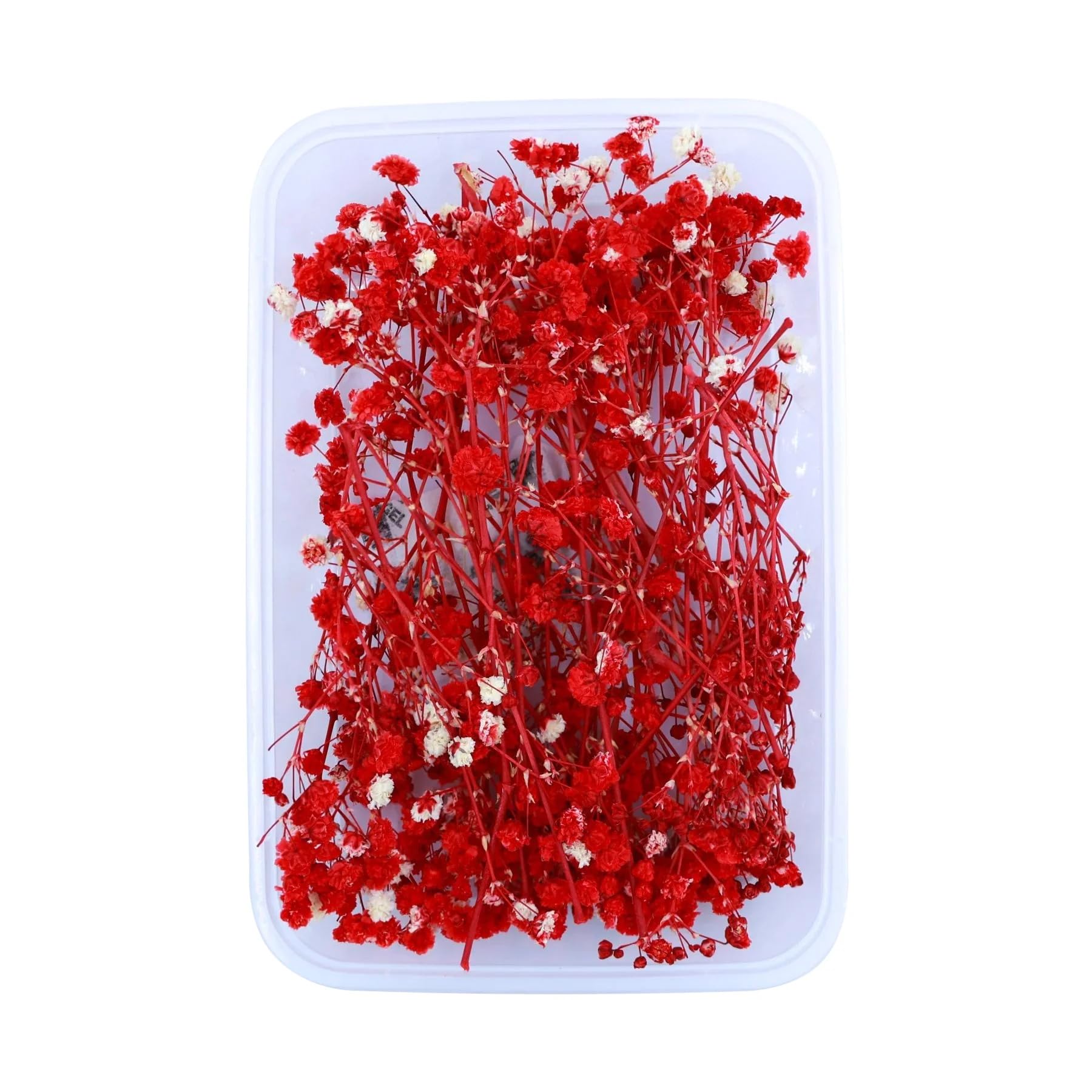 1 Box Natural Dried Baby Breath Flowers | Real Pressed Flowers for Resin Art, DIY Crafts, Nail Art, Candle & Soap Making Jewellery, Pendant (Babysbreath) (Red)-image-46