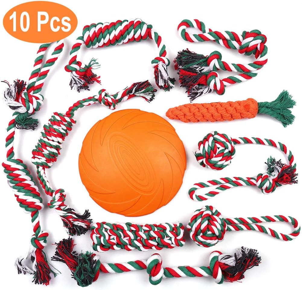 disco volante per cani