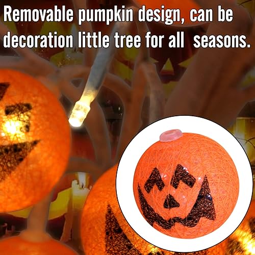 Miniatura 6 de Luz LED de árbol de calabaza para decoración de Halloween y todas las estaciones, luz de árbol artificial con 24 bolas de adorno de calabaza