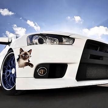 Perforated Cat Vinyl Car Stickers 5.5-Inch 2 Pack Removable Waterproof Decorative Stickers for Cars, Trucks, SUVs, Motorcycles, Laptops, Suitcases, Walls, Doors, Refrigerator