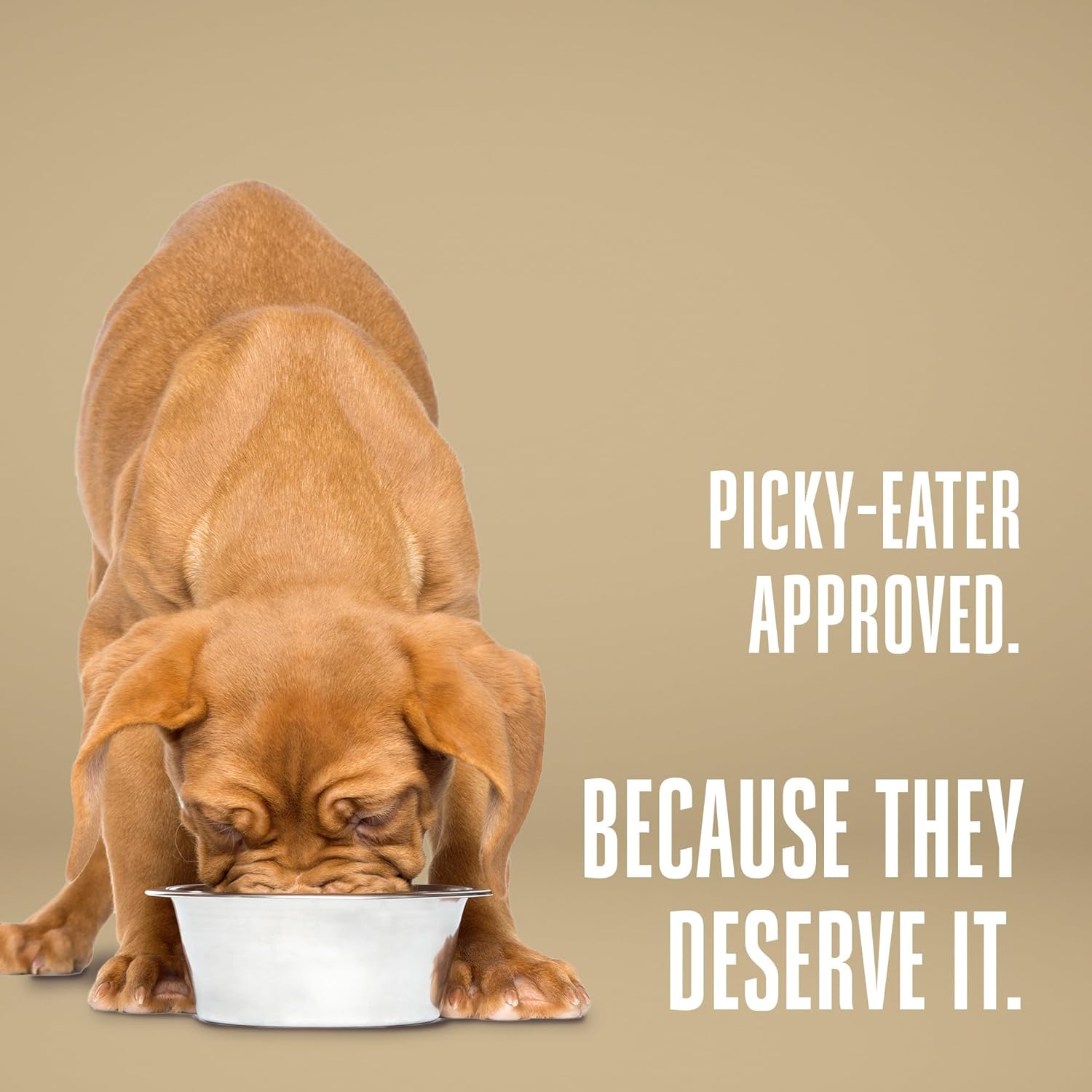 Whole Life 12 oz Whole Body Health Dog Supplement