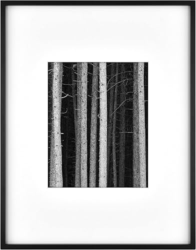 Vista 70 de MCS Master & Co. Foundry Gallery - Marco metálico de pared color negro, 16 x 24 pulgadas sin paspartú