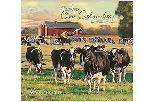 Cows Mohr 2024 Wall Calendar by Publishing Group