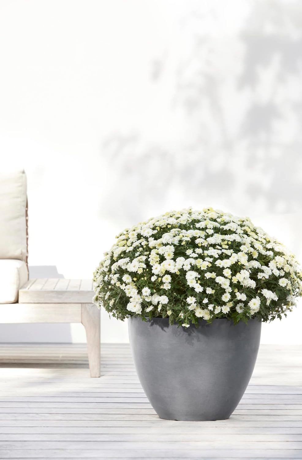 Ecopots Antwerp Durable Modern Round Indoor/Outdoor Recycled-Based Composite Flower Pot Planter, Grey, 12"