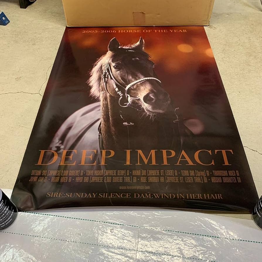 ［競馬］　ディープインパクト 　JRA ポスター「感動をありがとう」　A1 Amazon.co.jp: 非売品 競馬 ディープインパクト JRA ポスター