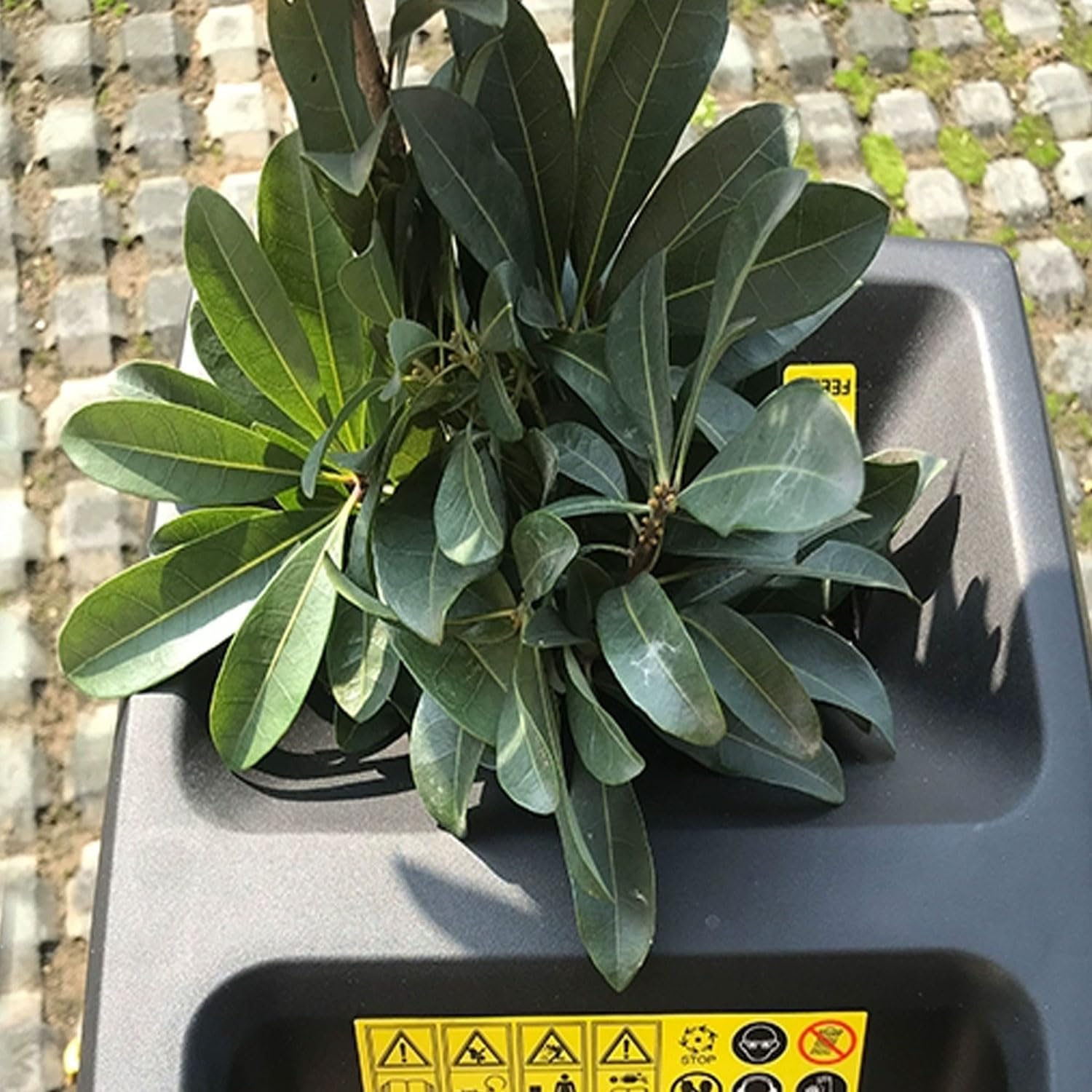 2400W Electric Wood Chipper, 4500rpm Portable Tree Branch Shredder, with 50L Collection Bag&30m Power Cord, 40mm Cutting Direct, Overload Protection Switch, for Shredding Hedge Scrap, Bush Waste