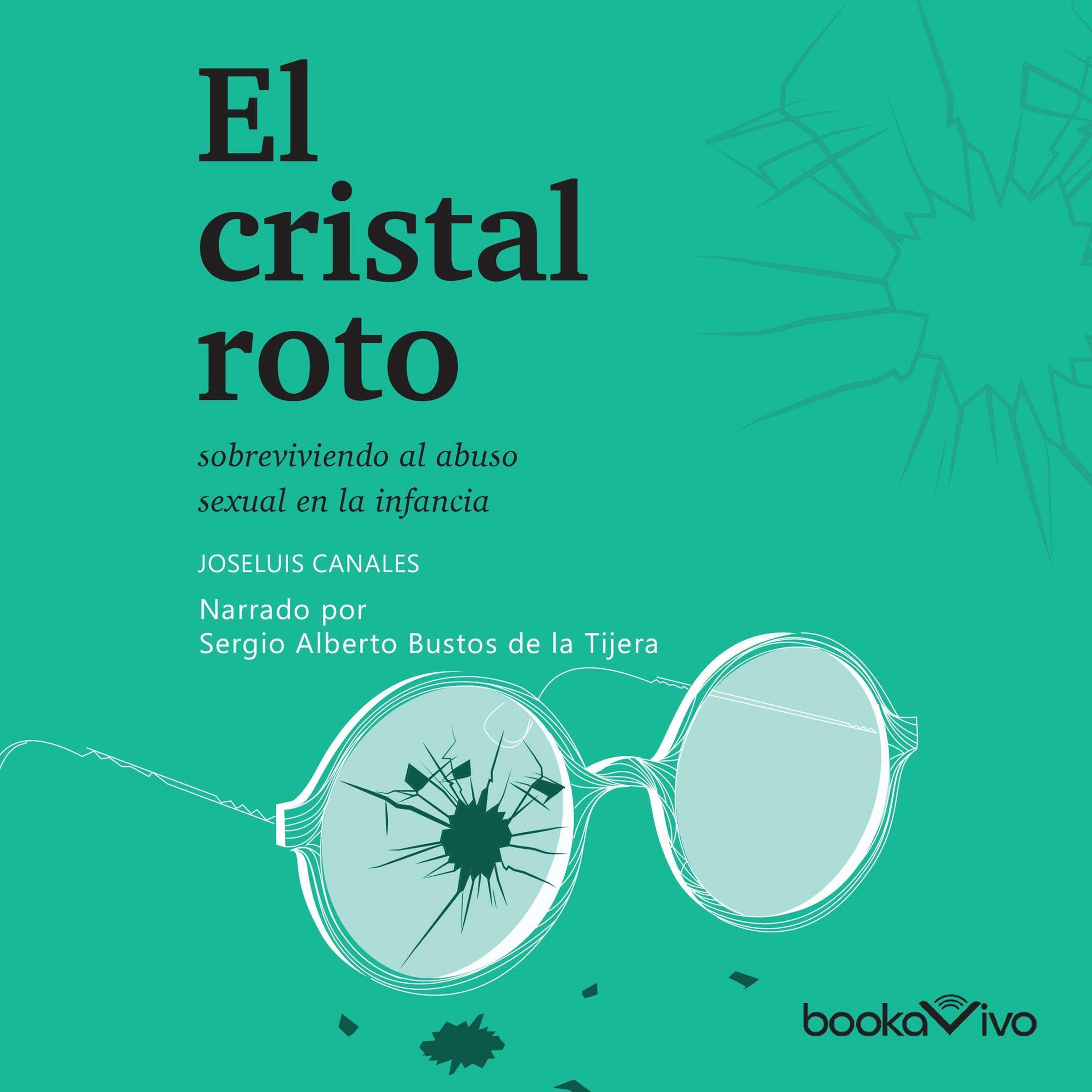 Cover art for El cristal roto