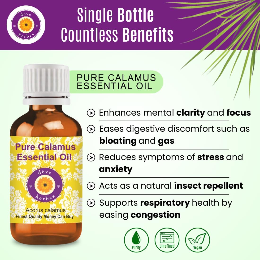 Deve Herbes Pure Calamus Essential Oil (Acorus calamus) distillato a vapore di grado terapeutico naturale al 100% 100ml (3.38 oz)
