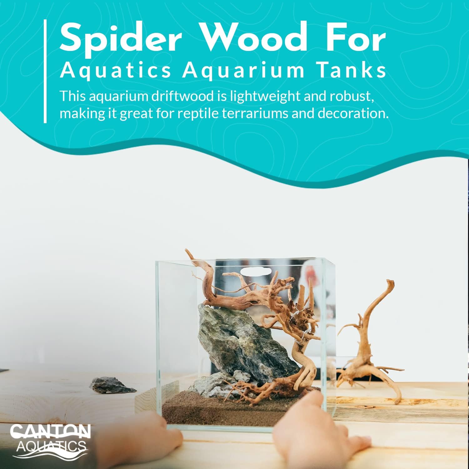Aquarium Hardscape Decoration Spider Wood - All Natural & Organic Aquarium Wood for Tanks - Best for Hiding Spots - Extra Large Driftwood for Aquariums - 18 to 24 Inches (X-Large)
