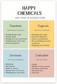 Happy Chemicals Poster - Neurobiology- Dopamine Oxytocin Serotonin Endorphin - Neurochemistry Brain Chart - 12 x 18 Inch Poster - Unframed - Premium 100lb Gloss - Made In USA - BMCP0325