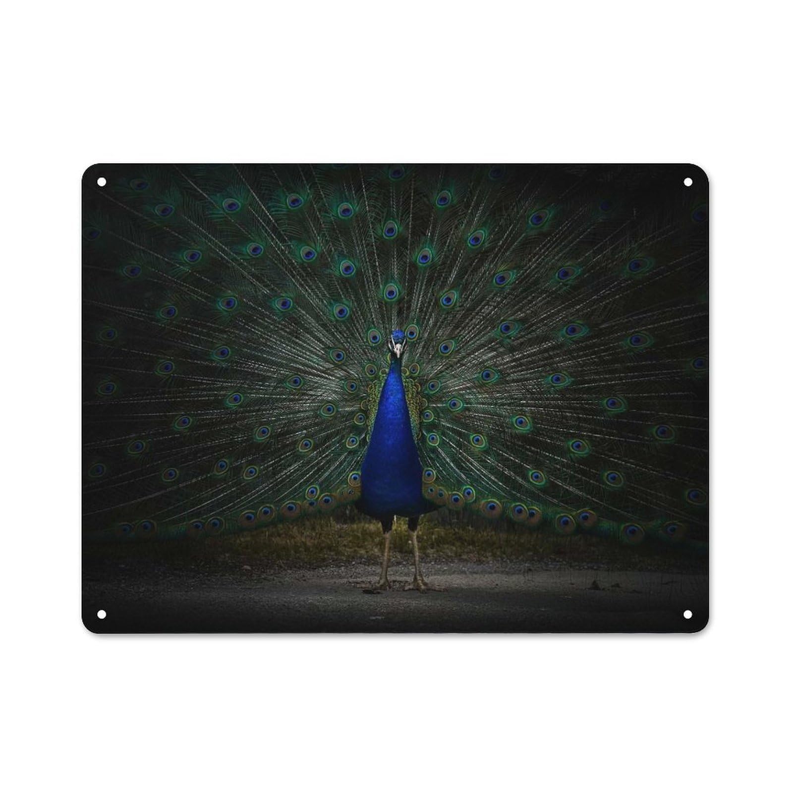 Junmoney Style-2 Workshop Style Garage Metal Sign 30X40cm Featuring Peacock Displaying Feathers, Industrial Wall Art For Workshop, Basement, Shed Or Games Room