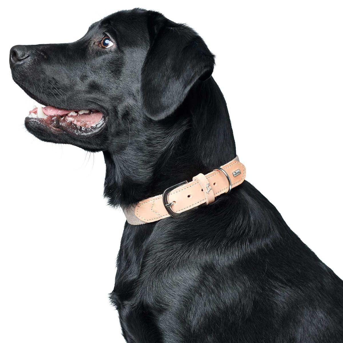 HUNTER Hundehalsband TRINO, Farbe: grau/Natur, Robustes Rindsleder, stilvoller Baumwollgurt, leicht & komfortabel, Scandi-Boho Design, Made in Germany, Größe: 50