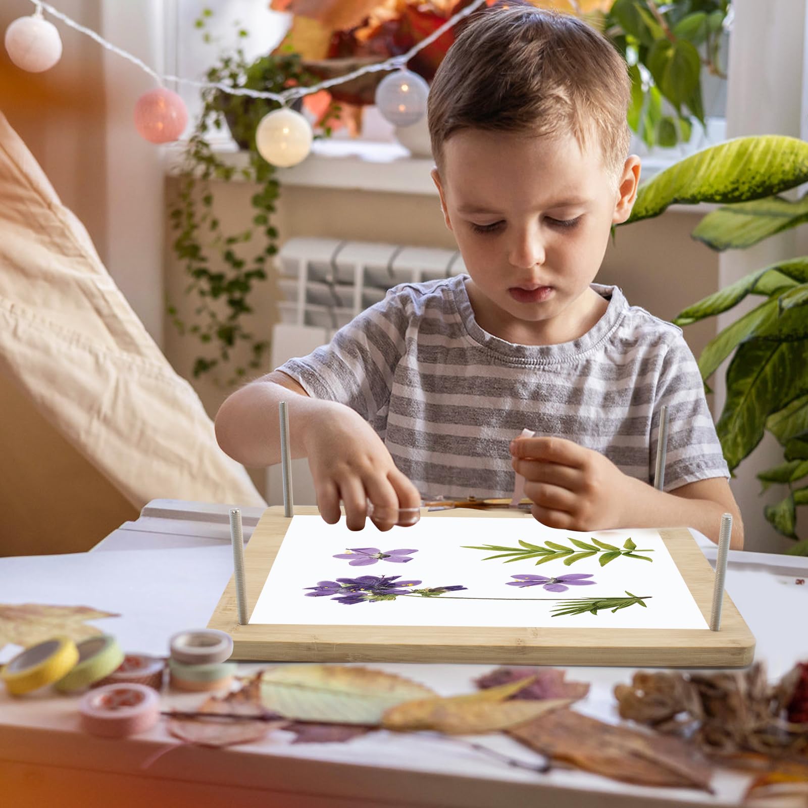 Kits de Presse à Fleurs,Kit de Préservation de Fleur Arts et Artisanat pour Adultes et Enfants pour Fleurs DIY Art Fabrication de Fleur Séchées Préservation 20x30cm