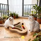 Ver la foto 6