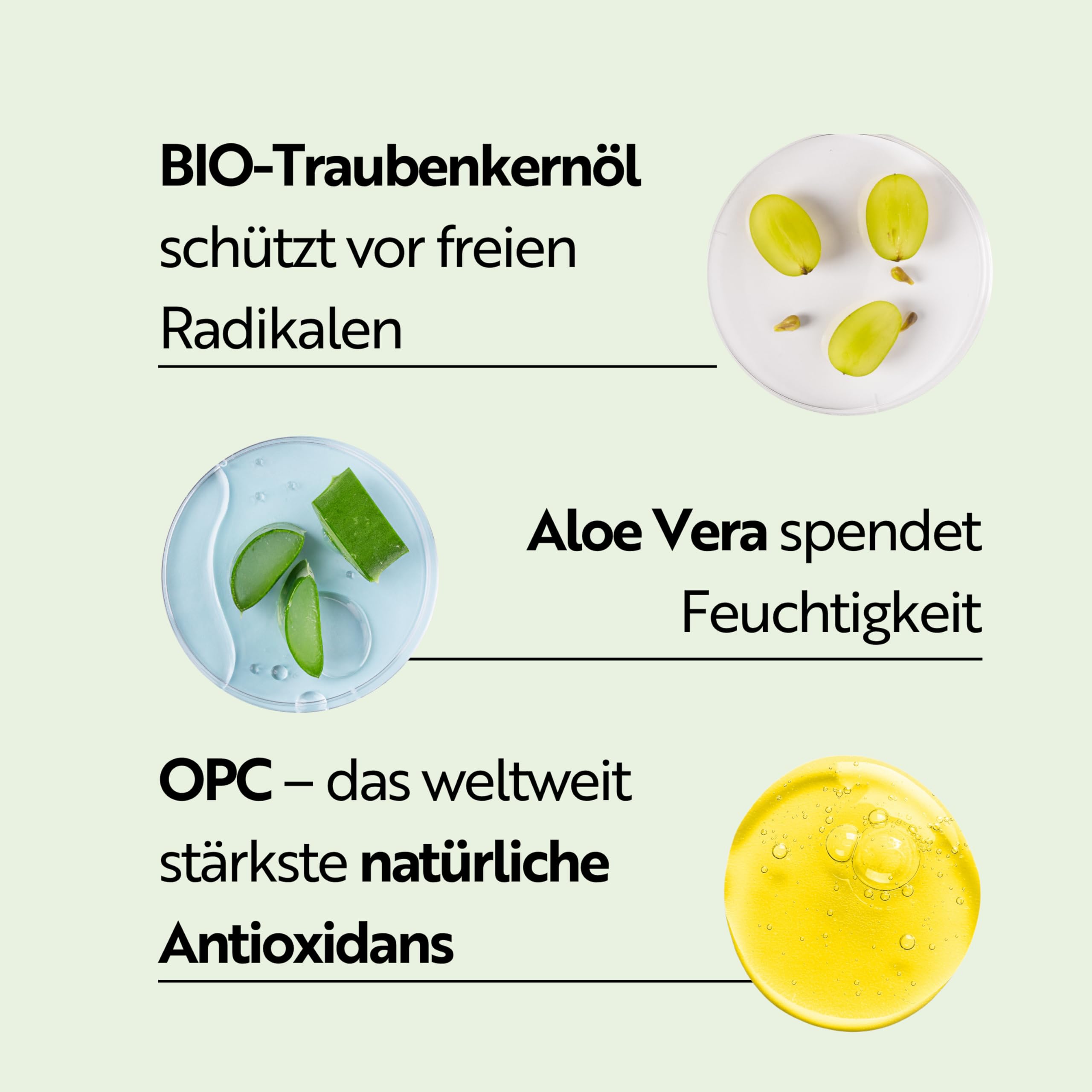 M. Asam Vino Gold 24h Gesichtscreme (100 ml) | 24h Tages- & Nachtcreme gegen Linien & Fältchen, Schutz vor vorzeitiger Hautalterung, Gesichtspflege
