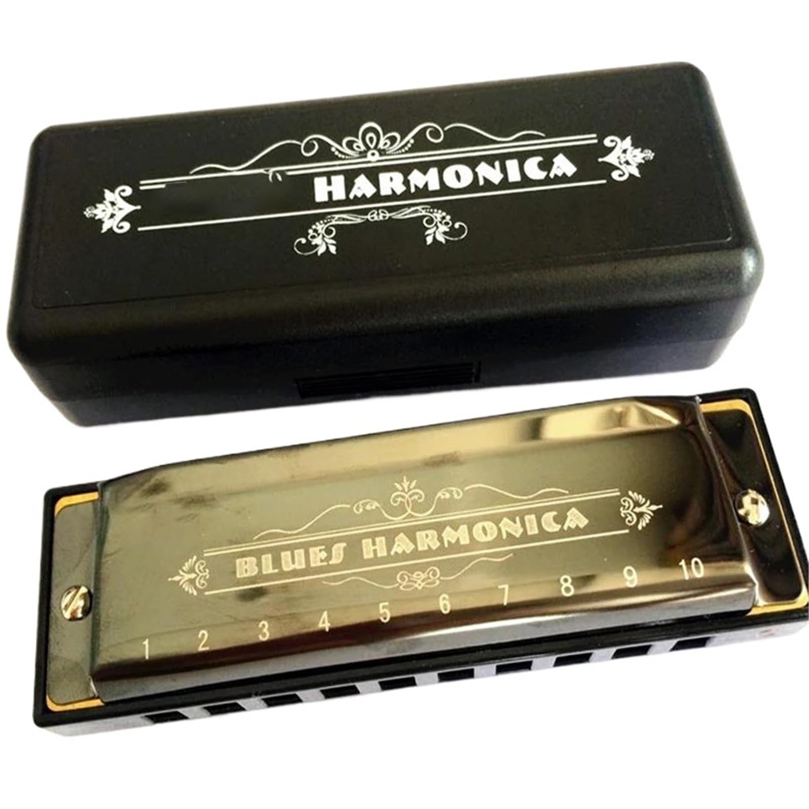 armonica a bocca professionale Armonica A 10 Fori Diatonica Blues Arpa Instrumento Musicale Organetto A Fiato Strumento Musicale