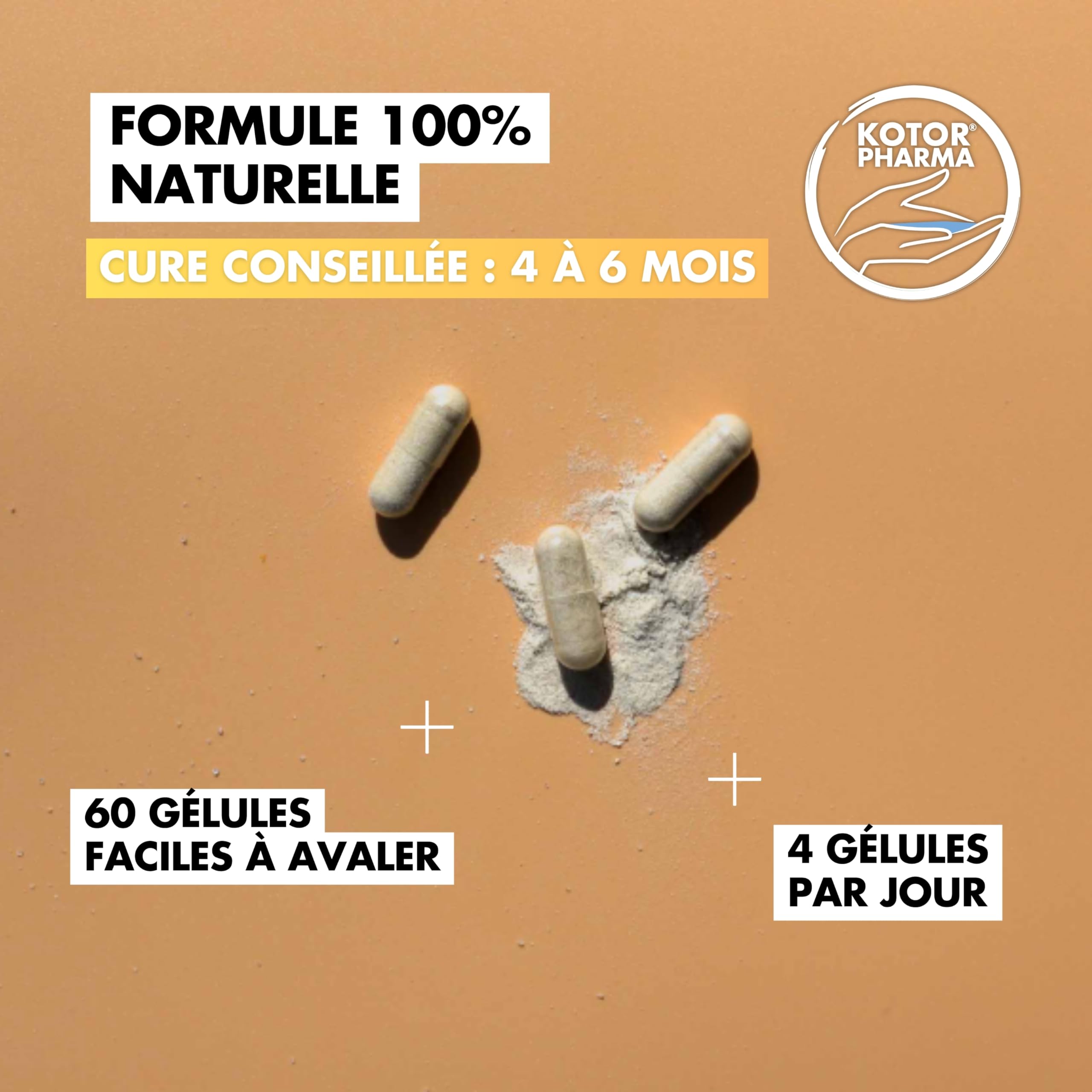 KOTOR CHONDRO | Régénère les Cartilages | Glucosamine + Chondroïtine Marine + Ortie + Manganèse + Vitamine C | Mobilité & Souplesse | 60 Gélules | Fabriqué en France