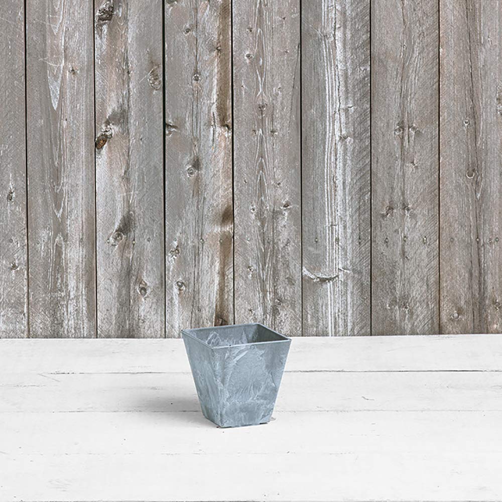 Amazon.com : Root & Vessel, 35060 Ella Square Planter, 6-Inch