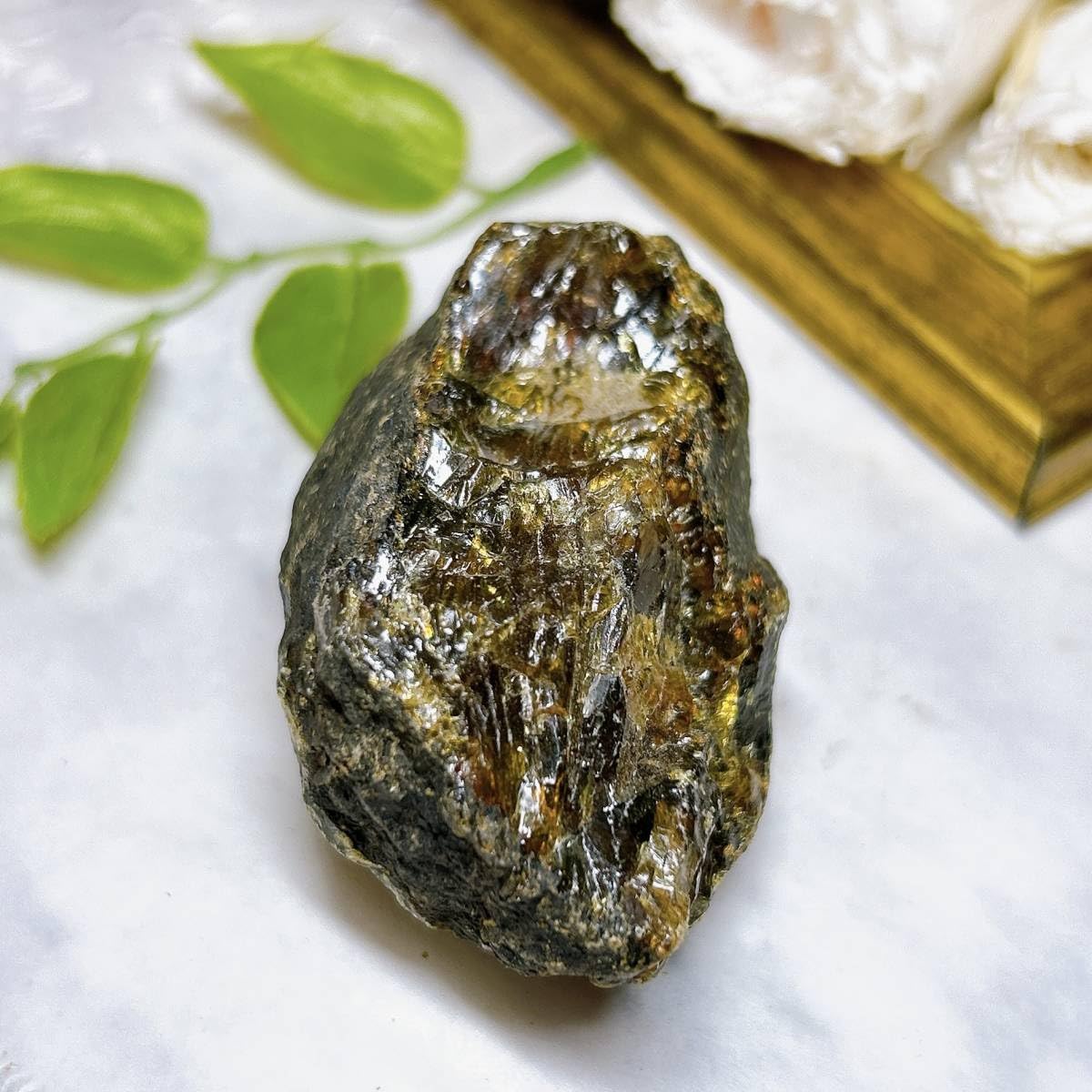 樹脂の化石【超激レア】 Amazon | TOKYO SCIENCE 琥珀 Amber「琥珀 アンバー(樹脂の化石