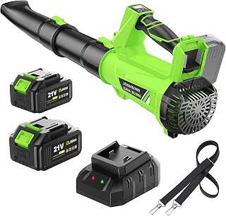 ELRINA Cordless Leaf Blower: 2x3.0Ah Batteries, 650CFM 6-Speed Lightweight Blower for Leaves, Dust, Snow - Green w/ Straps